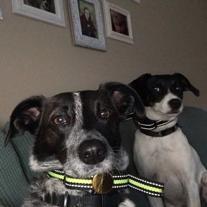 Meet your Posher, Angela